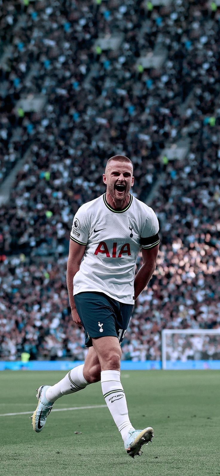 wallpaper for laptop  eric dier