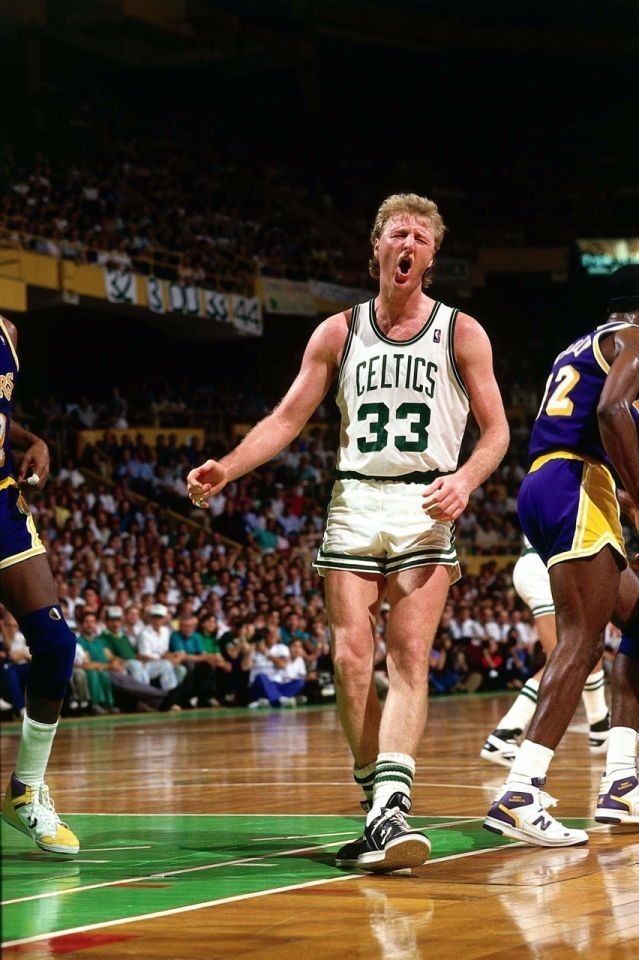 wallpaperLarry Bird