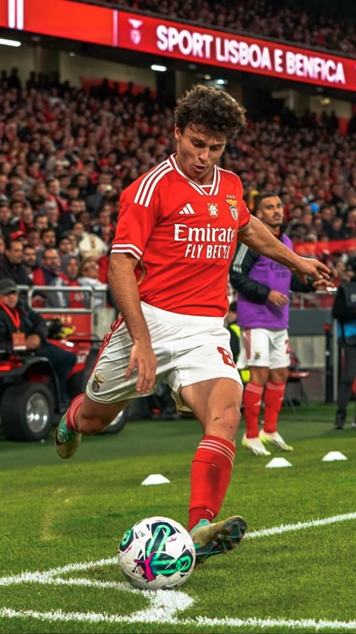 wallpaper 4k João Nunes