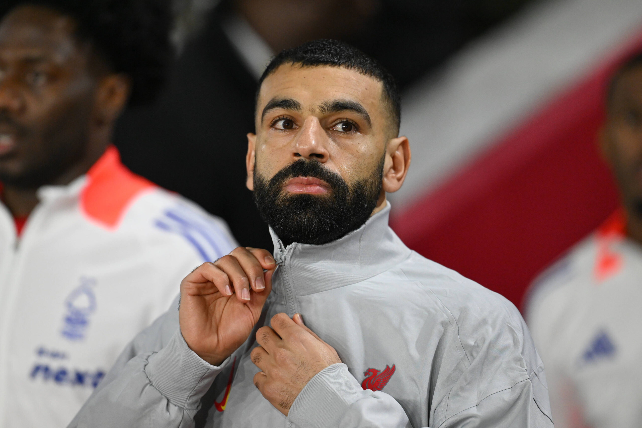 ثروت محمد صلاح