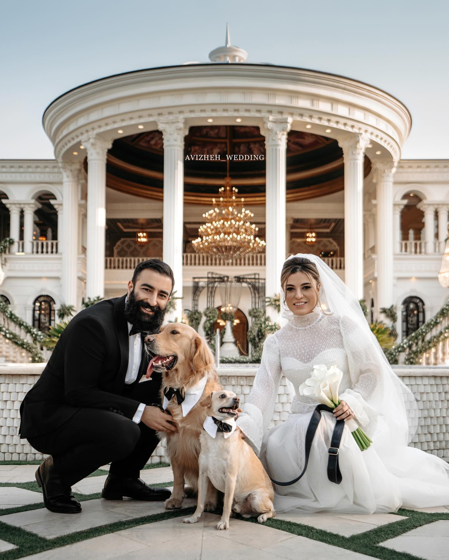 شیدا خلیق سگ