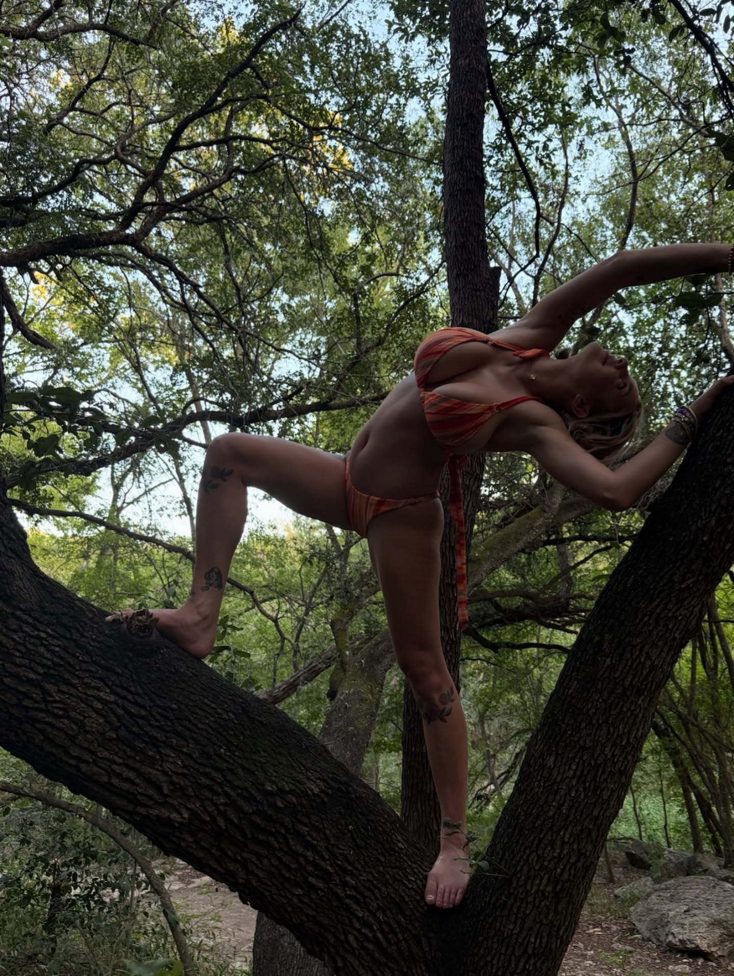 گبی کارتر dp گبی کارتر dp