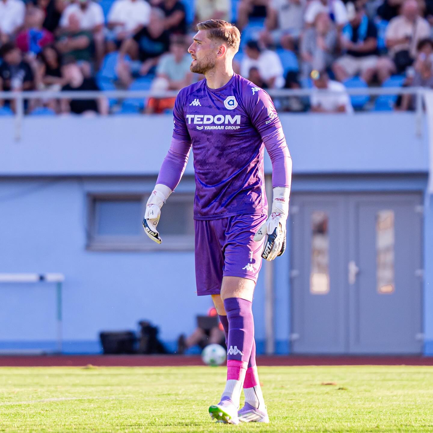 توماش هولی توماش هولی