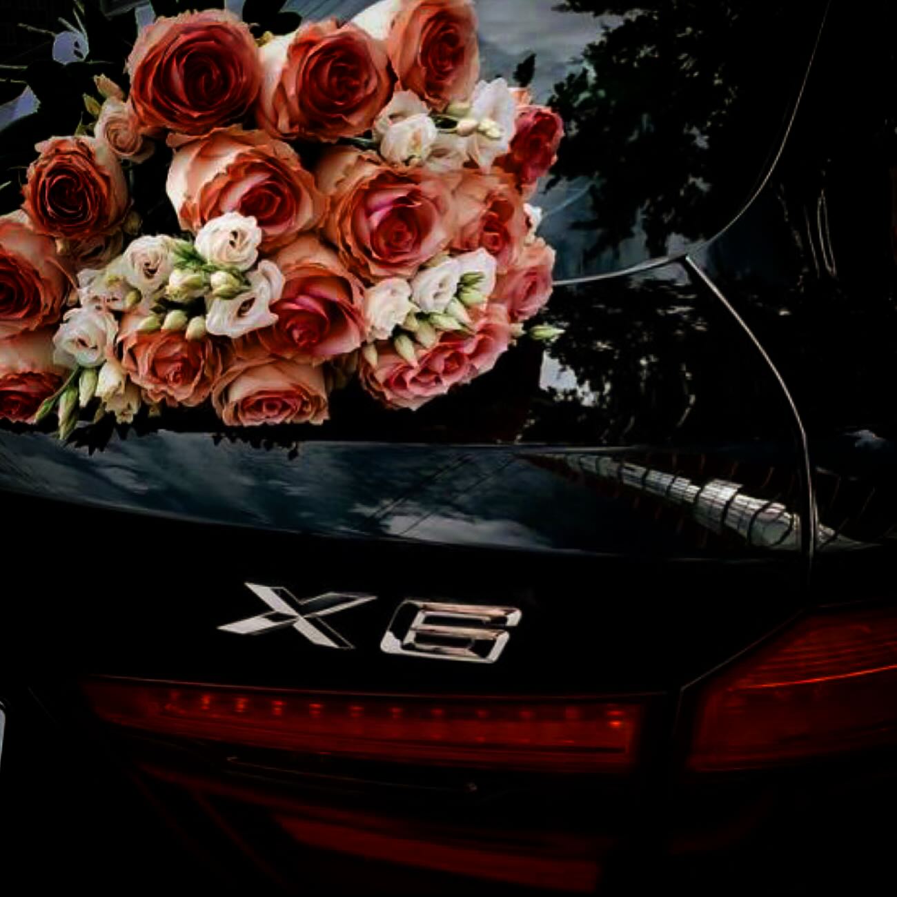 عکس مینا نامداری در ماشین
