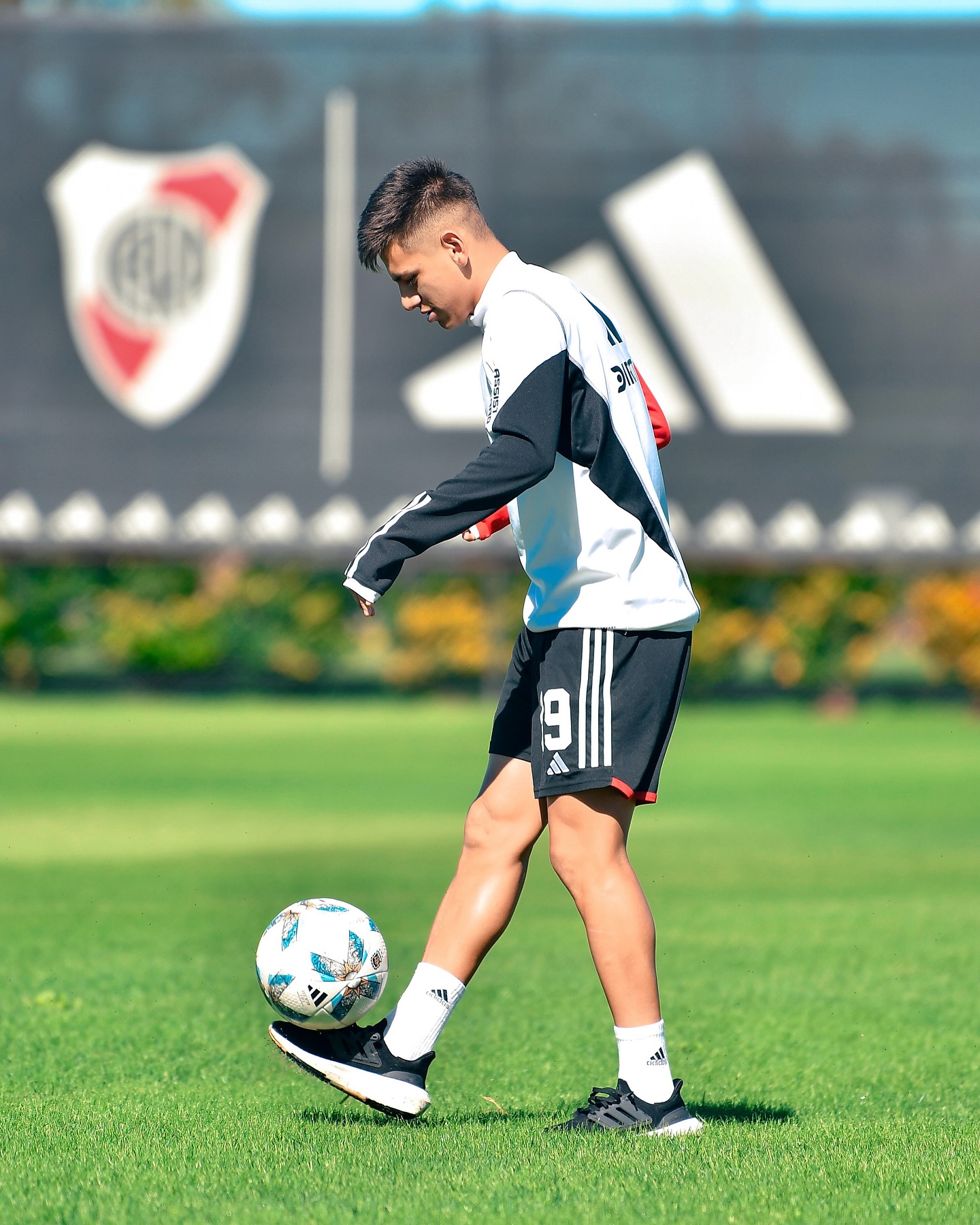 تصویر کلودیو اچوری