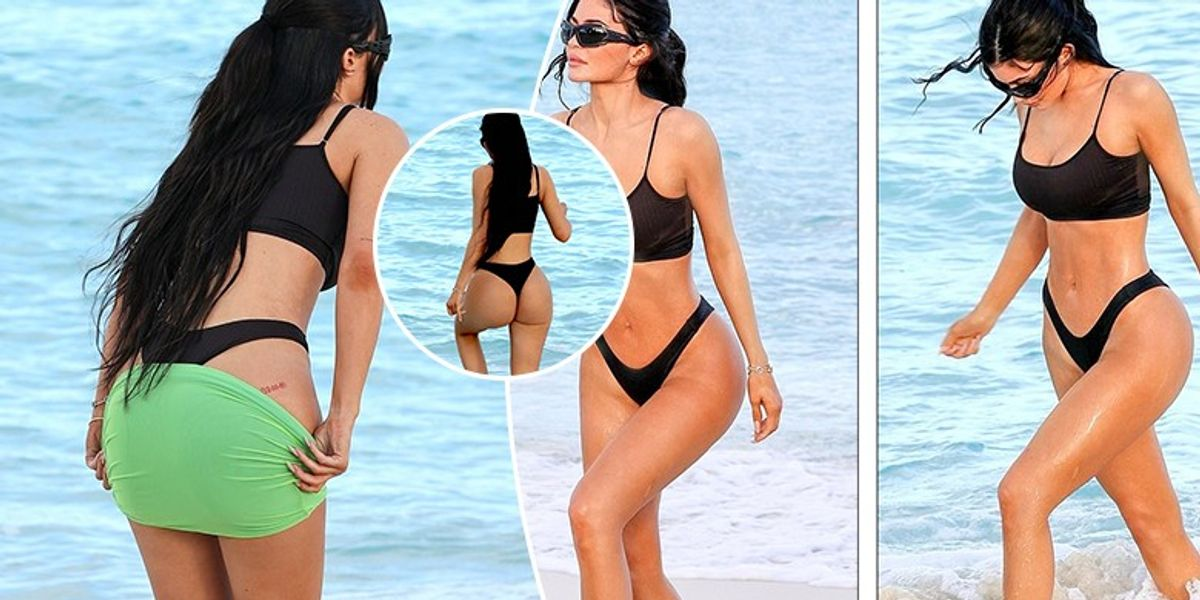 بررسی تغییرات و ابعاد اندام کایلی جنر بررسی تغییرات و ابعاد اندام کایلی جنر