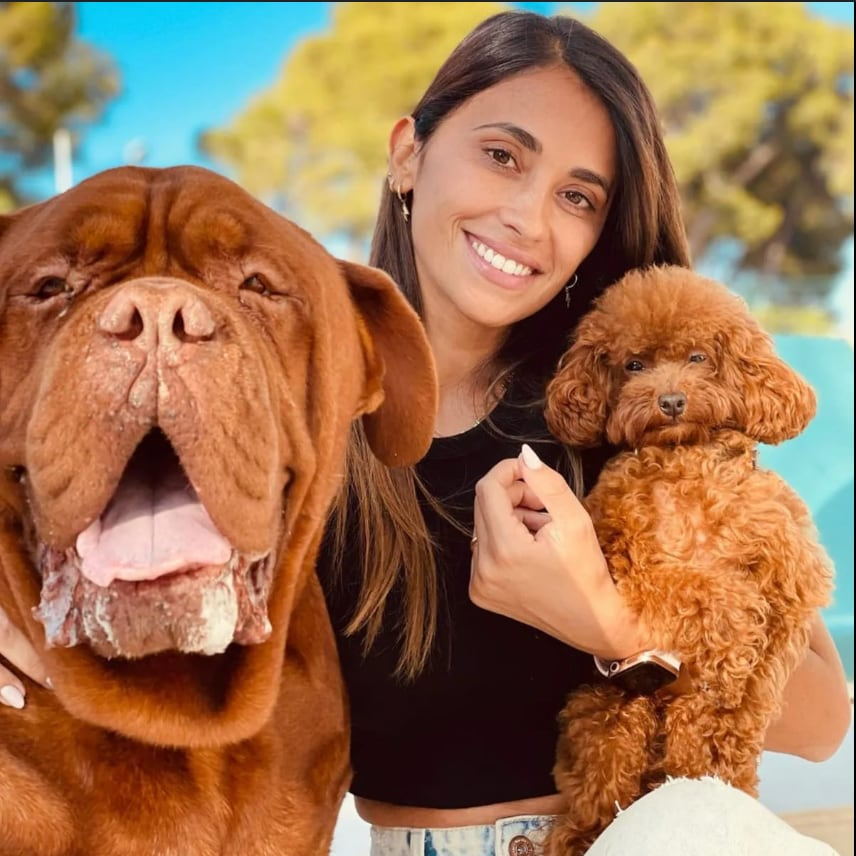 عکس آنتونلا روکوتزو و حیوان خانگی