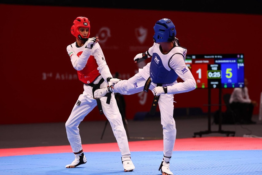 سوابق حرفه‌ای طاها جوادی به‌عنوان تکواندوکار