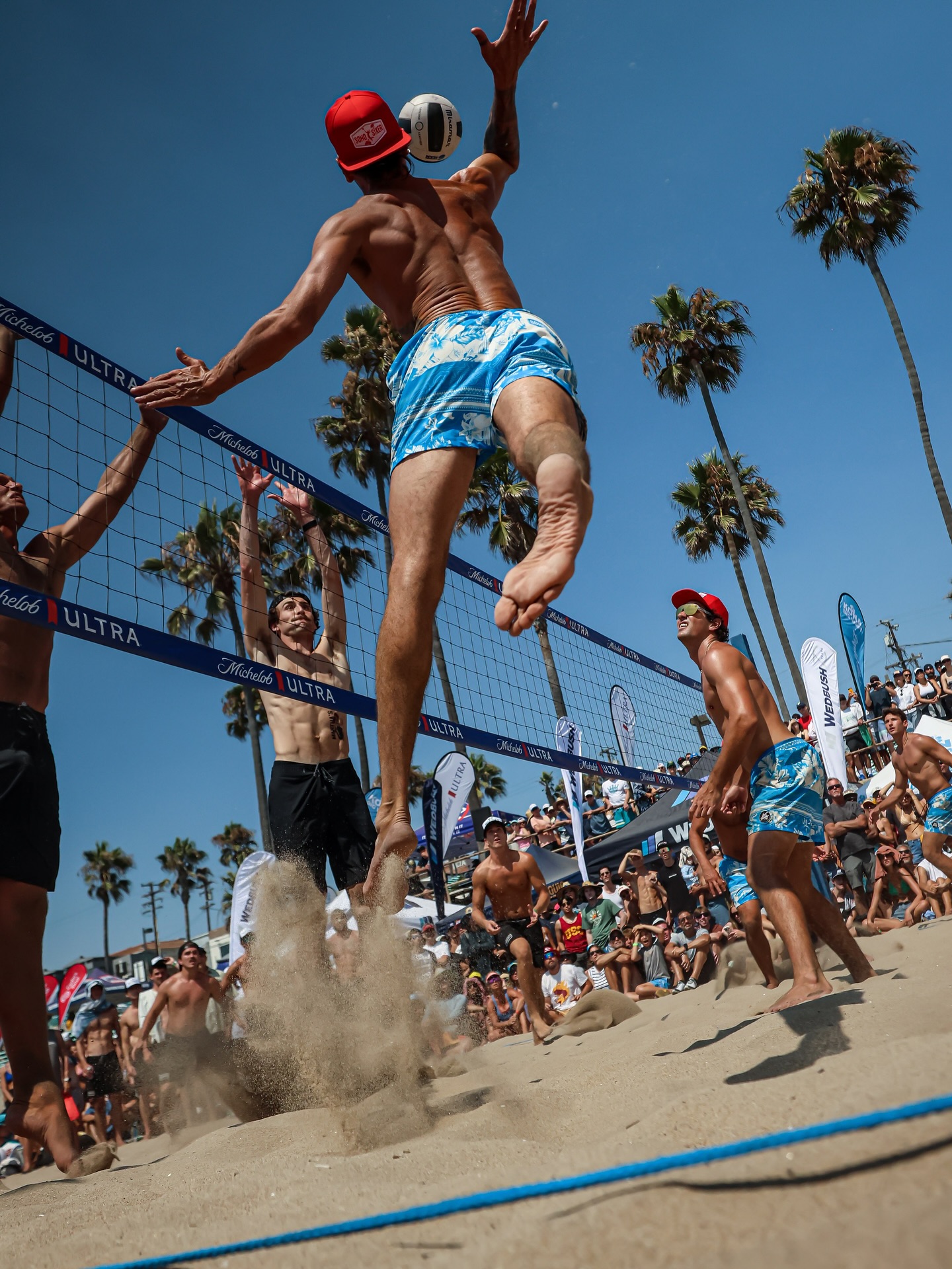 برنامههای آینده فاکوندو کونته برنامههای آینده فاکوندو کونته