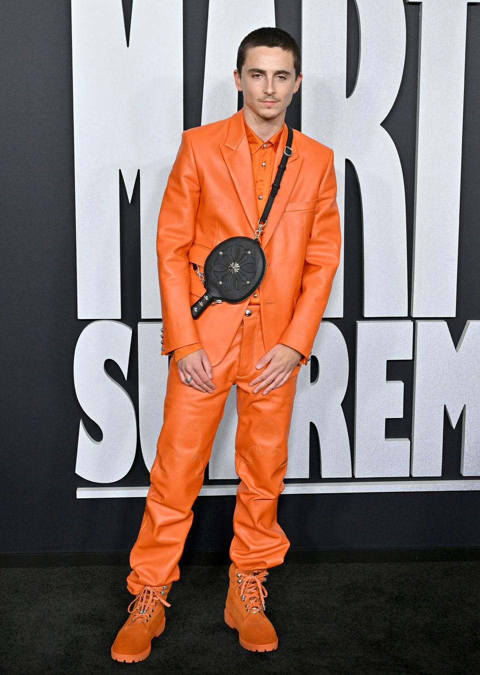 تیموتی شالامه بازیگر تیموتی شالامه بازیگر