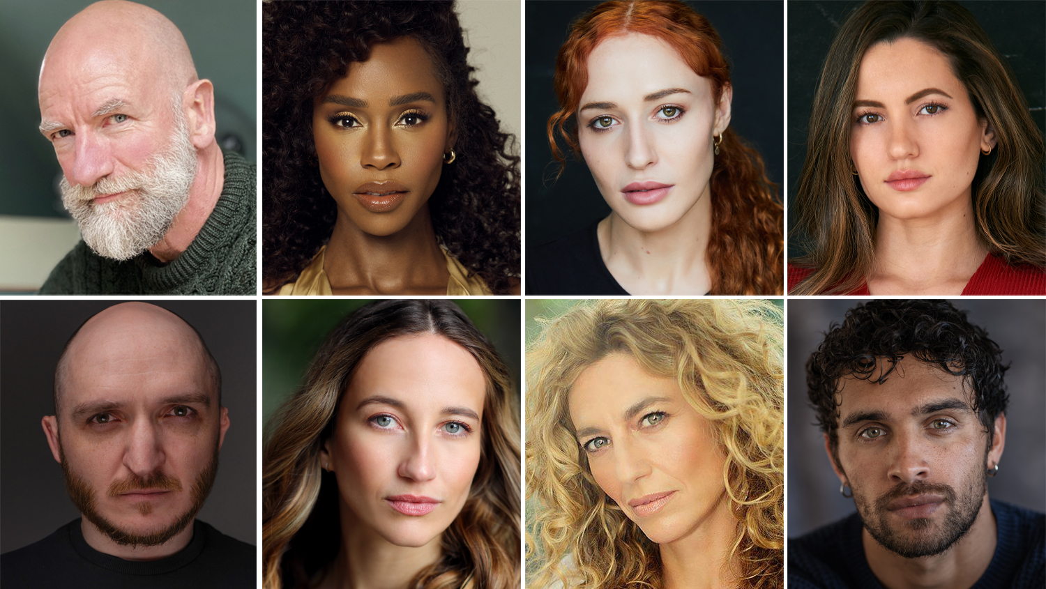 بازیگران سریال اسپارتاکوس بازیگران سریال اسپارتاکوس