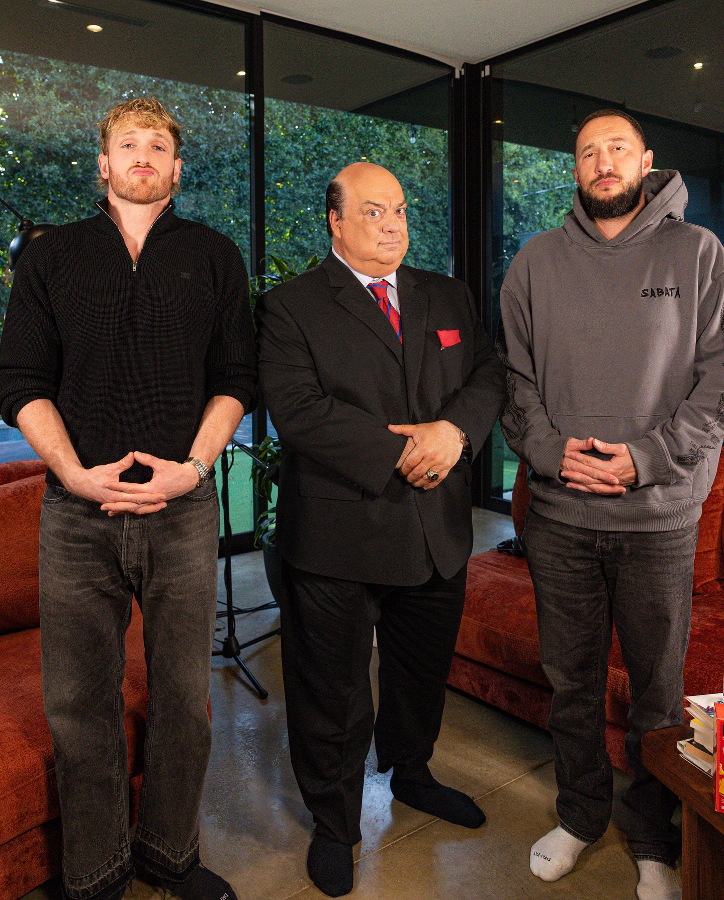 عکس پل هیمن در رینگ عکس پل هیمن در رینگ