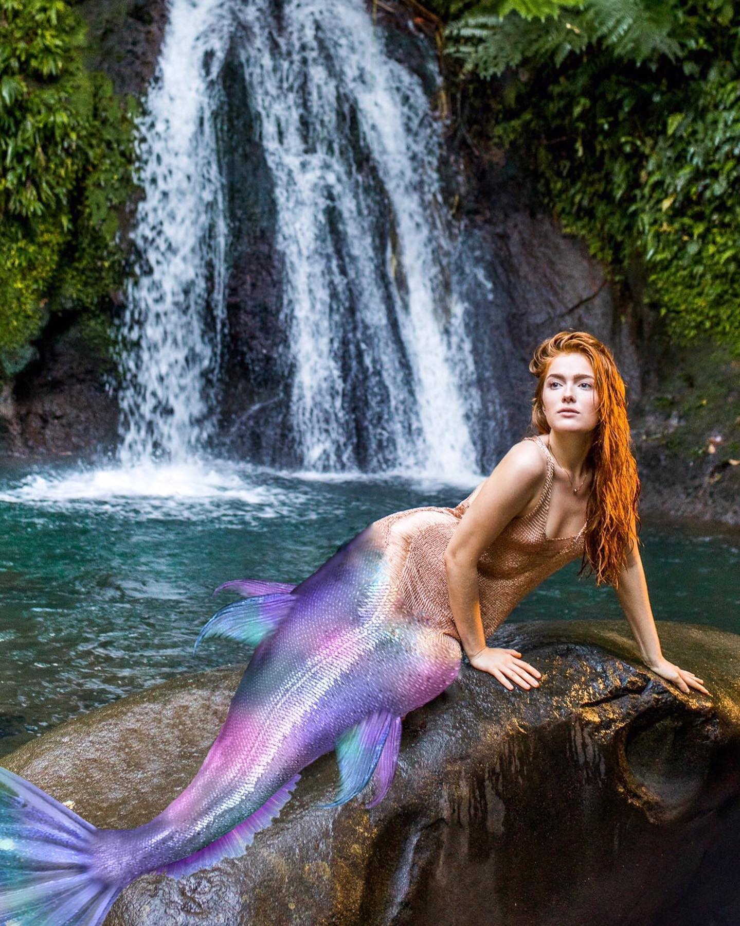 جیا لیسا جدید ۱۴۰۴